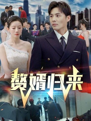 赘婿归来