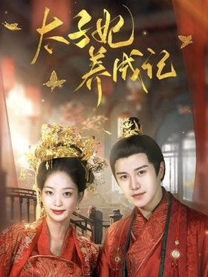 太子妃养成记