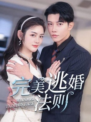 完美逃婚法则