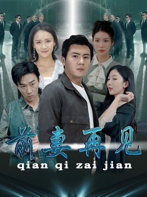 前妻再见