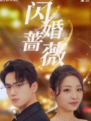 闪婚蔷薇