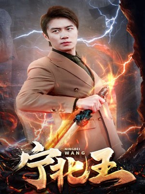 宁北王