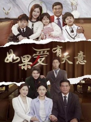 如果爱有天意