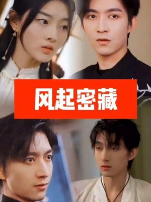 风起密藏