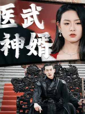 医武神婿