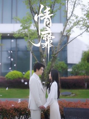 情靡