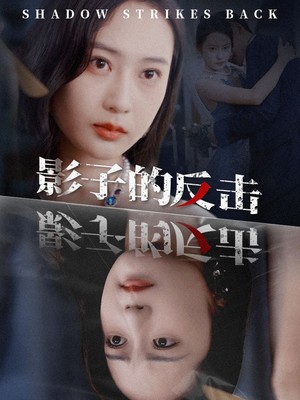影子的反击