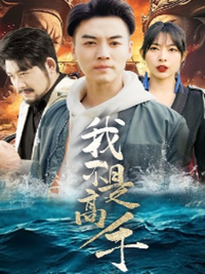 我不是高手