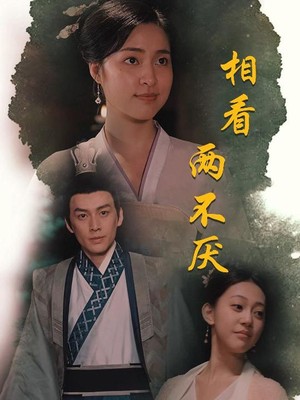 相看两不厌