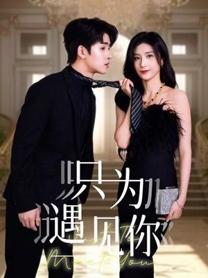 只为遇见你