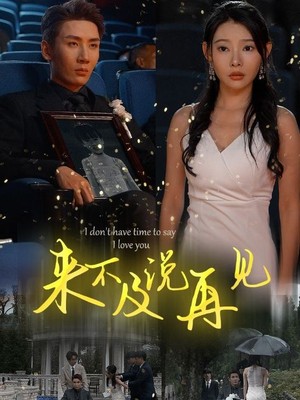 来不及说再见