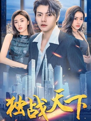 独战天下