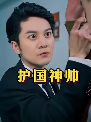 护国神帅