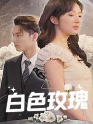 白色玫瑰