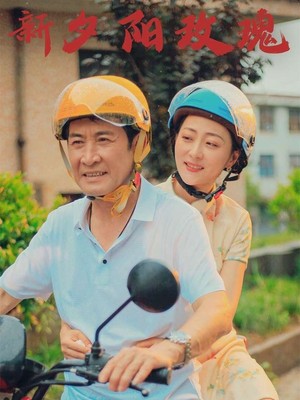 新夕阳玫瑰