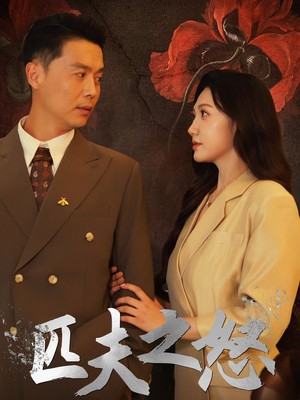 匹夫之怒