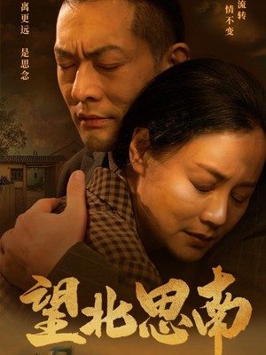 望北思南