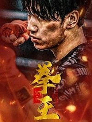 父子拳王