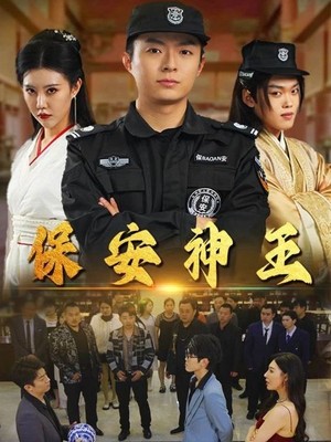 保安神王