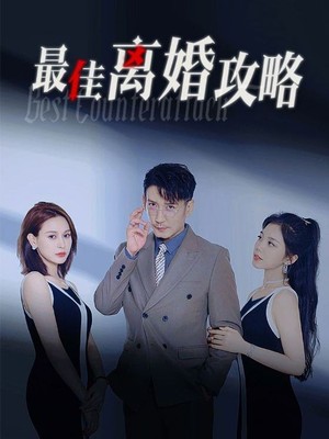 最佳离婚攻略
