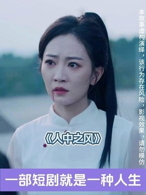 人中之凤