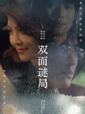双面谜局