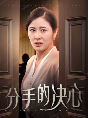 分手的决心