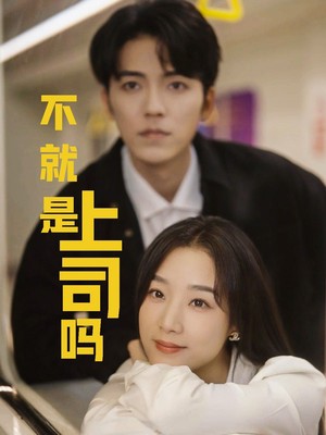 不就是上司吗