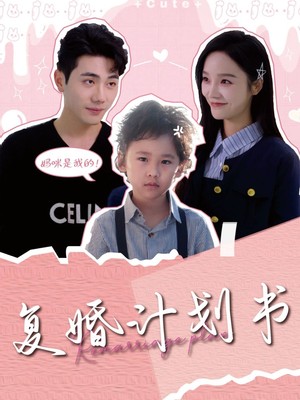 复婚计划书