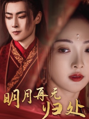 明月再无归处
