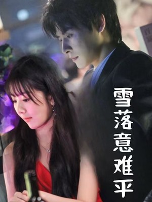 雪落意难平