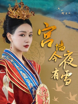 宫墙今夜有雪