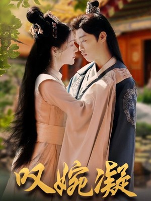 叹婉凝