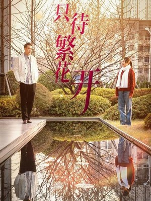 只待繁花开