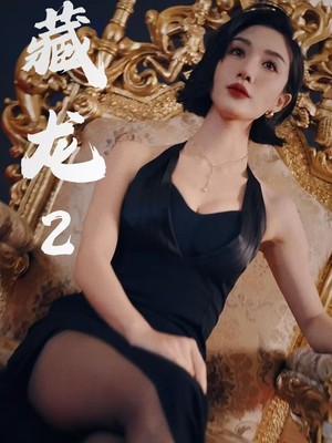 藏龙2银龙出水