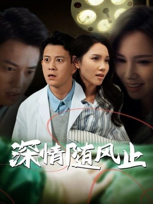 深情随风止