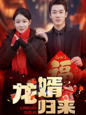 龙婿归来