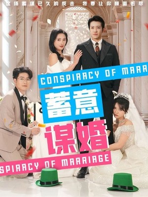 蓄意谋婚