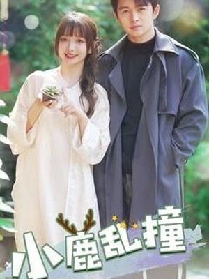 小鹿乱撞