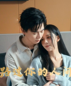 路过你的人间