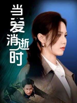 当爱消逝时
