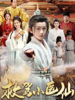 救驾小医仙