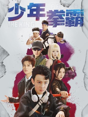 少年拳霸