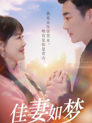 佳妻如梦