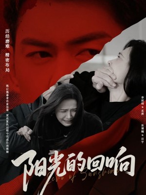 阳光的回响