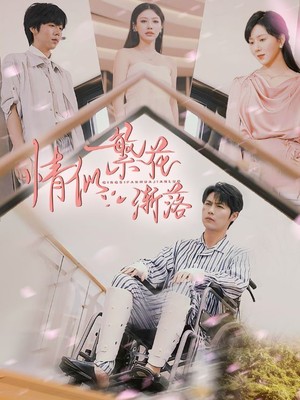 情似繁花渐落
