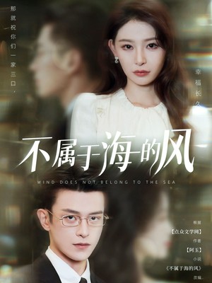 不属于海的风