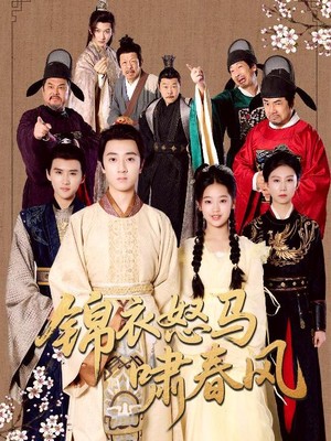 锦衣怒马啸春风