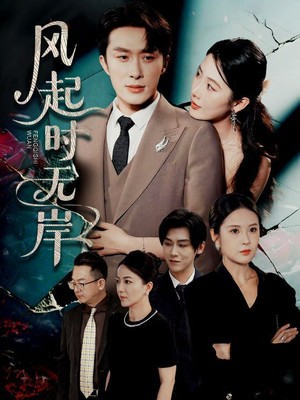 风起时无岸