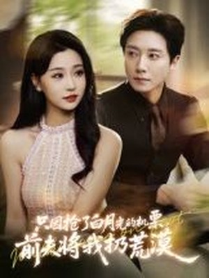 只因抢了白月光的机票，前夫将我扔荒漠